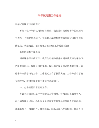半年试用期工作总结