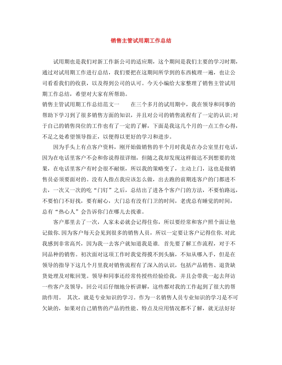 销售主管试用期工作总结_第1页
