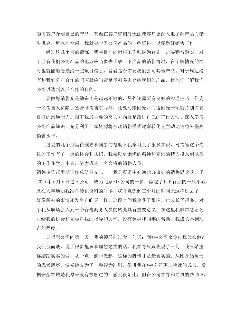 销售主管试用期工作总结_第2页