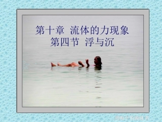 第十章流体的力现象