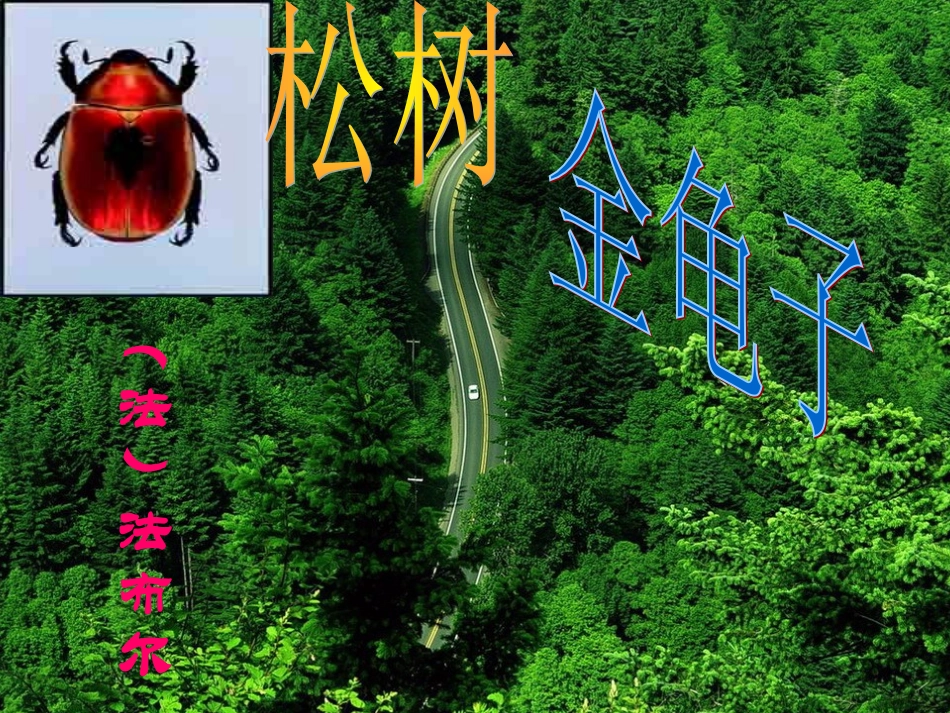 十六、《松树金龟子》(节选)(1)_第1页