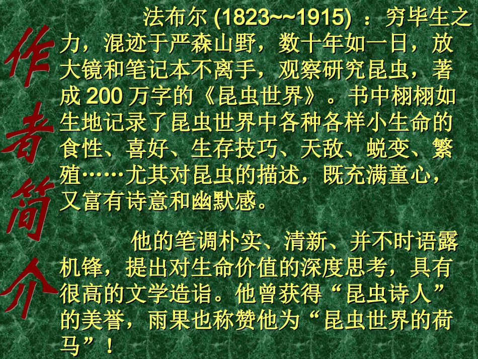 十六、《松树金龟子》(节选)(1)_第3页