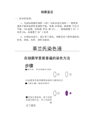细菌鉴定的基本思路(全)