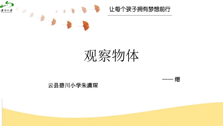 观察物体课件_第1页