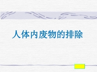 人体内废物的排除课件