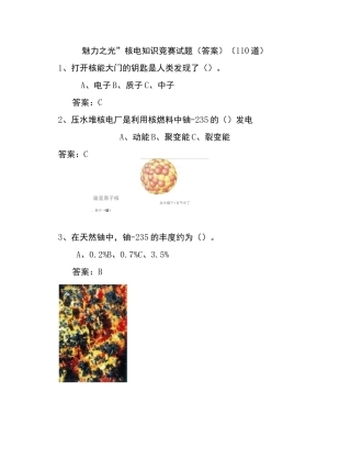 “魅力之光”核电知识竞赛试题答案(二)(110道)