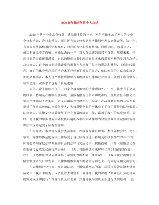 青年律师年终个人总结