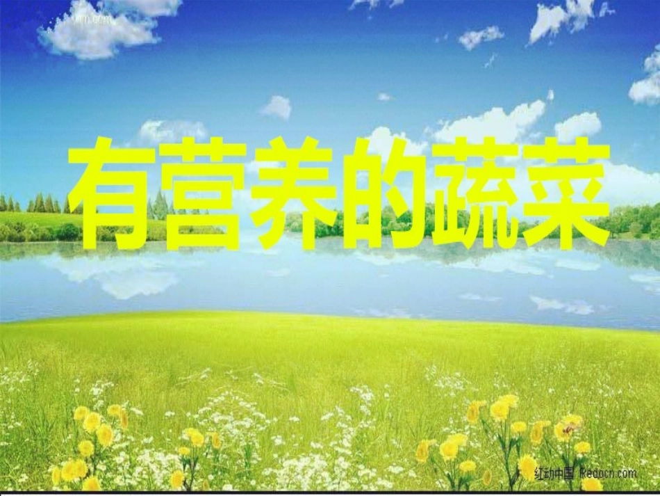 营养丰富的蔬菜_第1页