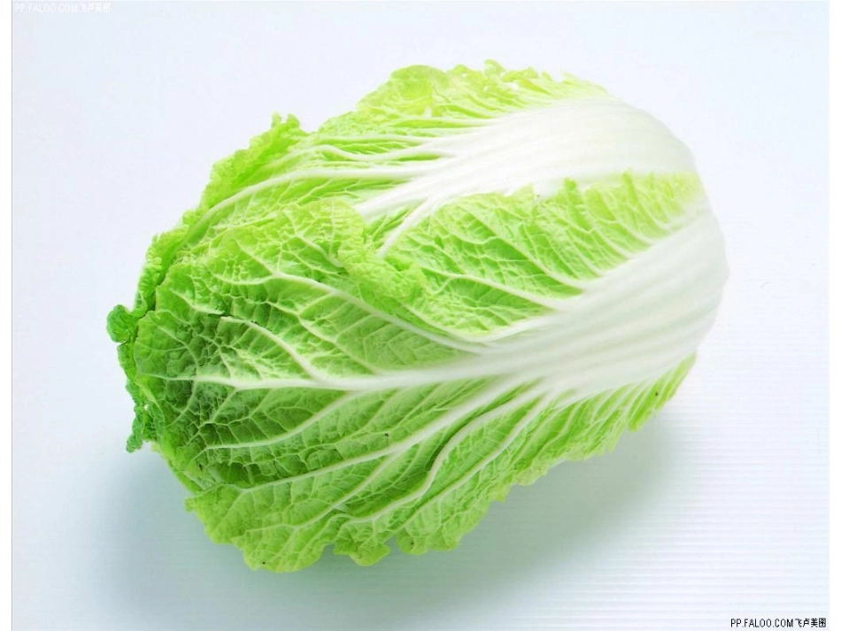 营养丰富的蔬菜_第3页
