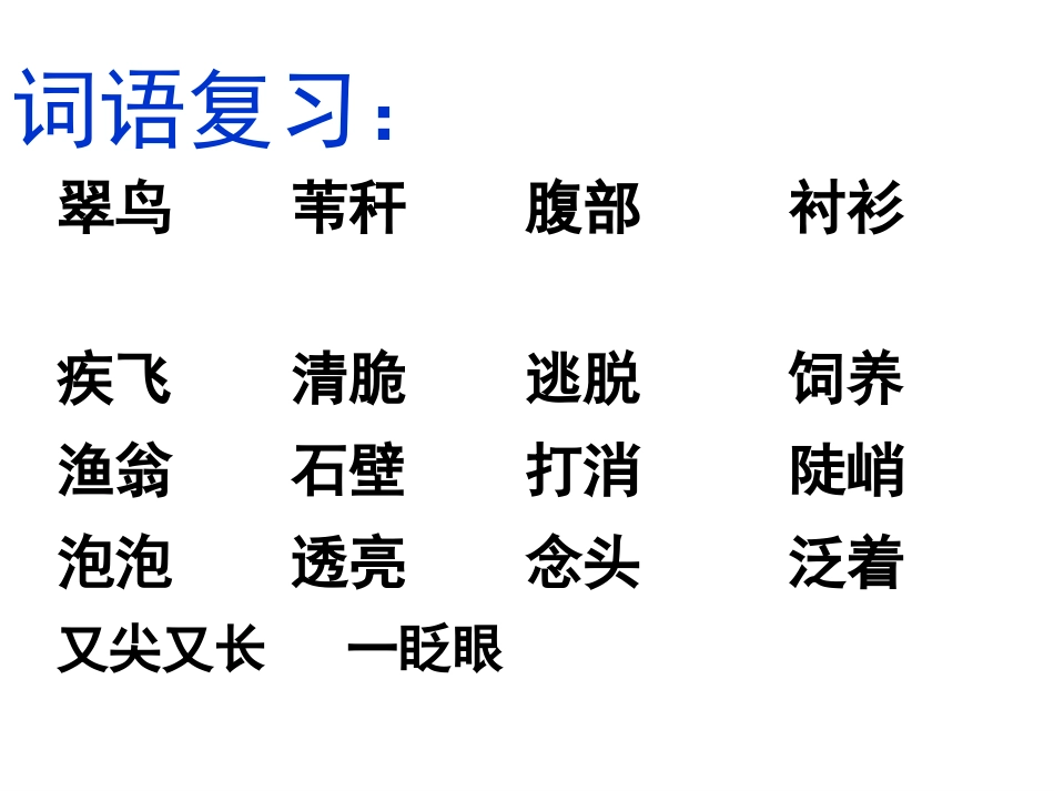 翠鸟课件 (2)_第3页