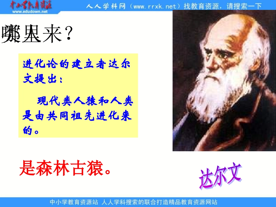 人教版七下《人类的起源和发展》课件_第3页