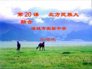 第20课北方民族大融合