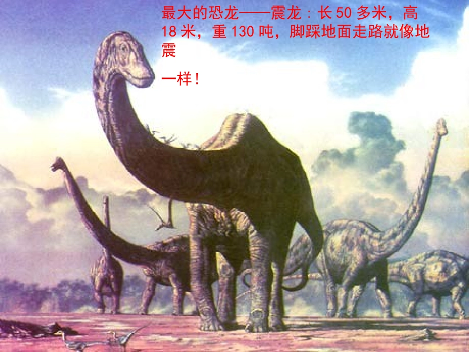 张槎小学二年级语文下册《恐龙的灭绝》PPT课_第2页