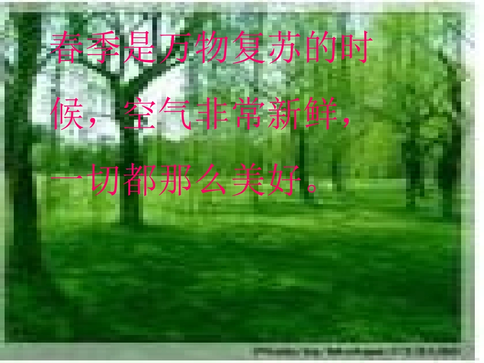 苹果丰收课件：_第3页