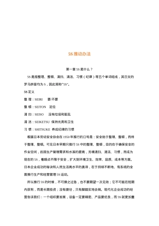 5S推动办法(doc 13)