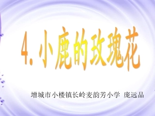 《小鹿的玫瑰花》课件