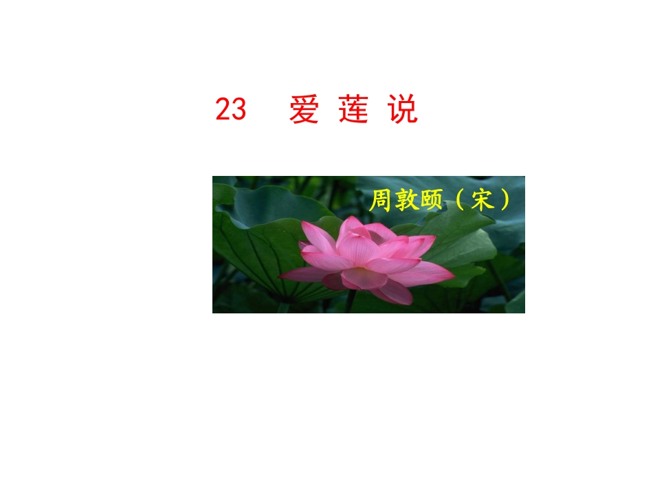 爱莲说3 (2)_第1页