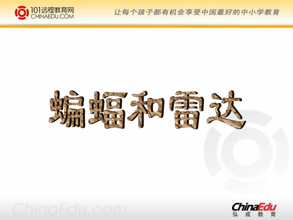 《蝙蝠和雷达》课件_第1页