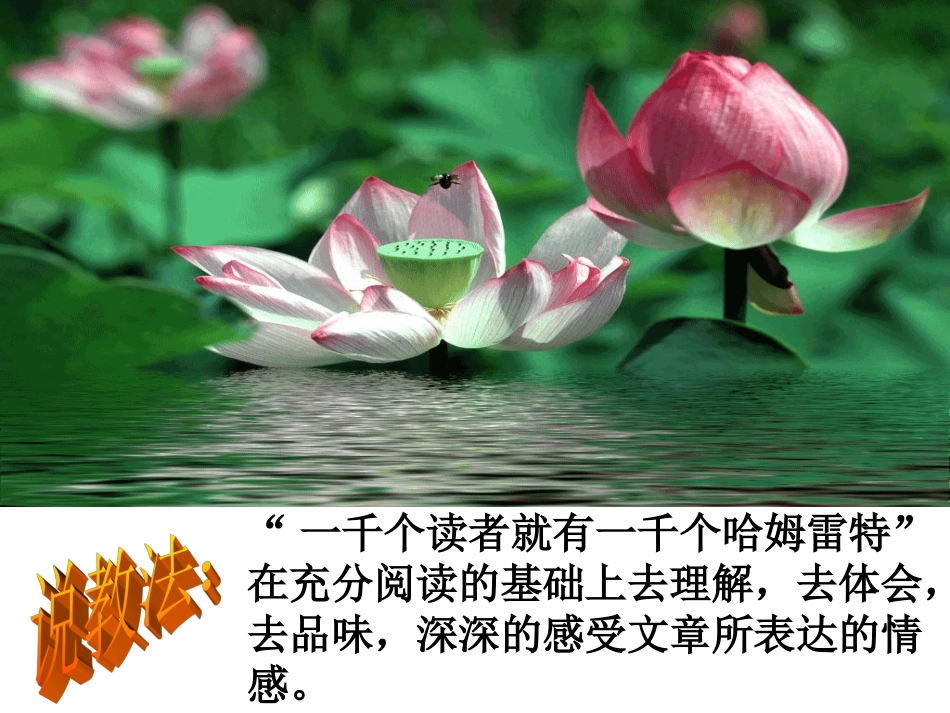 琥珀说课稿课件_第3页