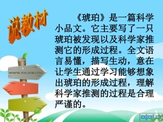 琥珀说课稿课件