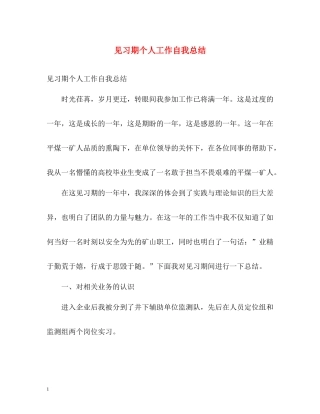 见习期个人工作自我总结