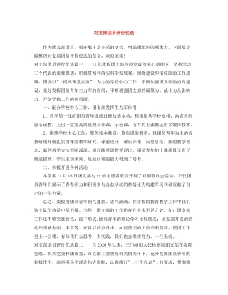 对支部团员评价优选