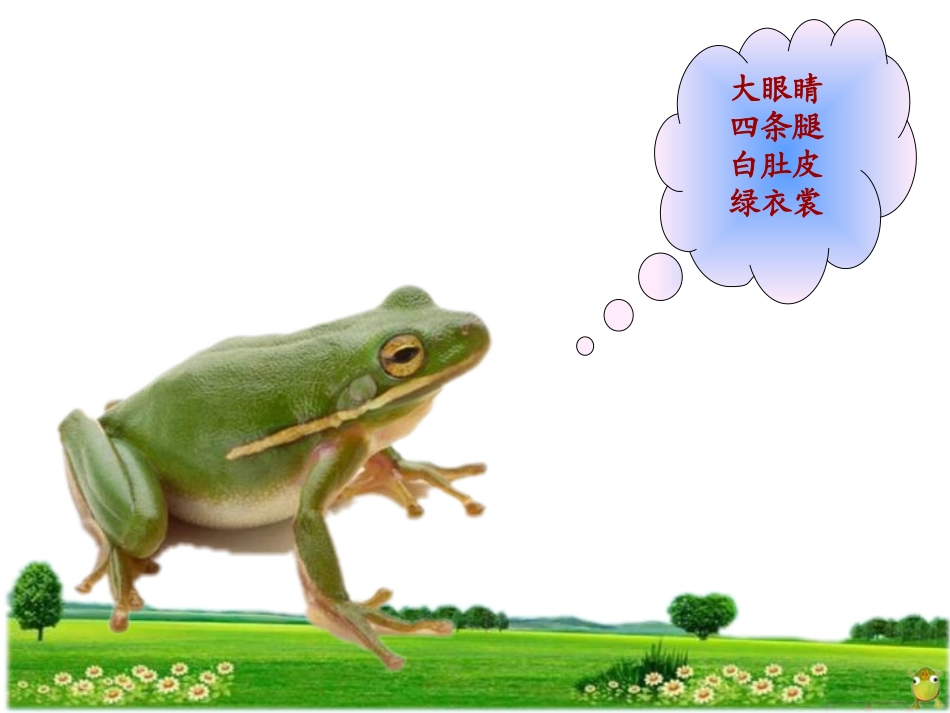 小蝌蚪找妈妈(人教版)课件_第3页