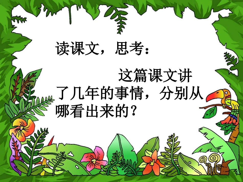 《会走路的树》课件2_第3页