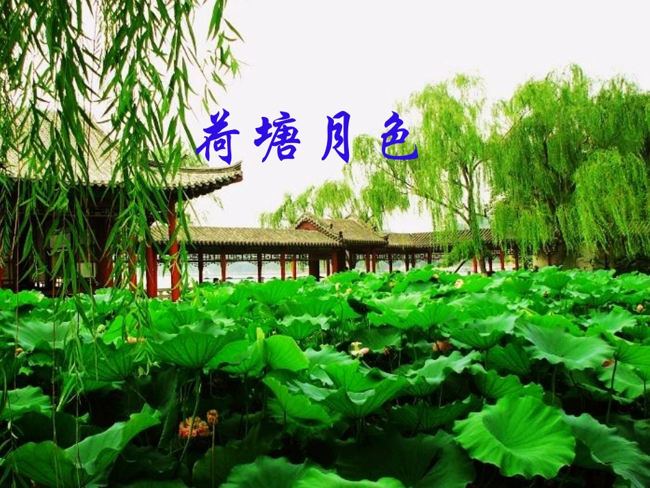 《荷塘月色》77_第1页