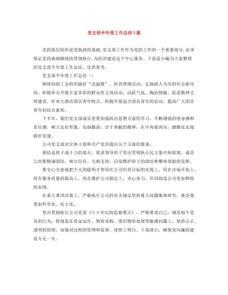 党支部半年度工作总结3篇