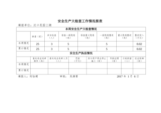 汉口花园三期安全生产大检查工作情况报表