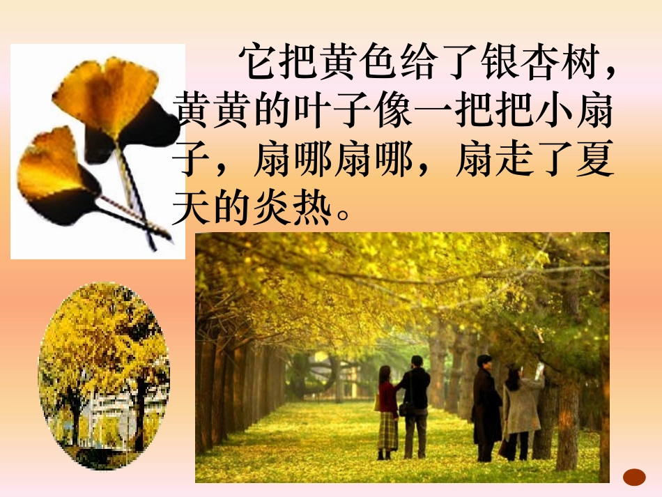 《秋天的雨》课件_第3页