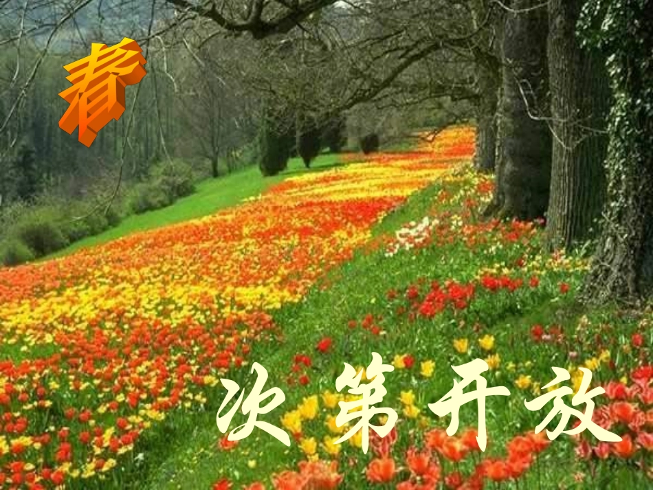 人教版八年级上册语文课件大自然的语言PPT_第2页