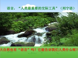 人教版八年级上册语文课件大自然的语言PPT