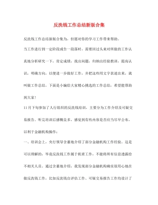 反洗钱工作总结新版合集