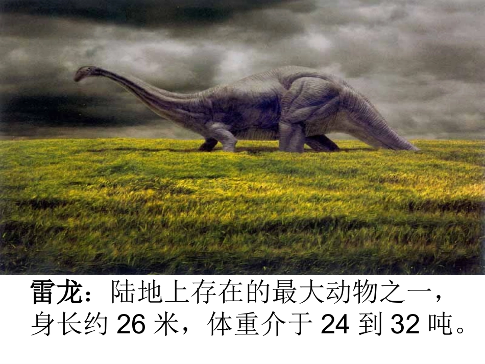 恐龙的灭绝 ()_第3页