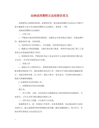 出纳试用期转正总结报告范文