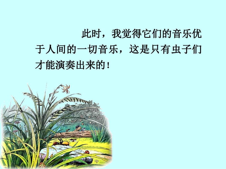 草虫的村落_PPT课件_盛新凤_2009_第3页