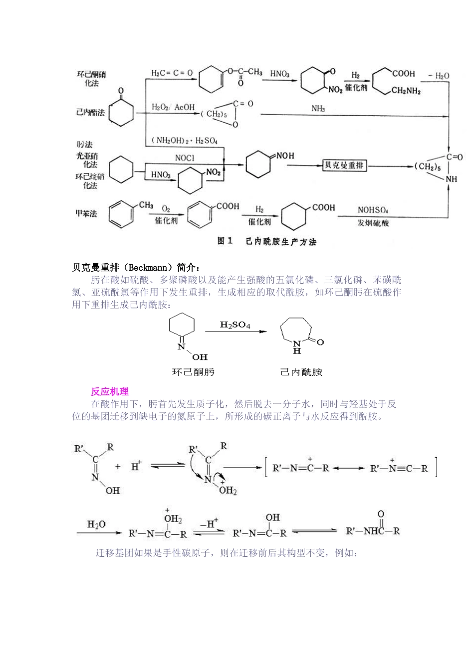 己内酰胺生产工艺_第3页