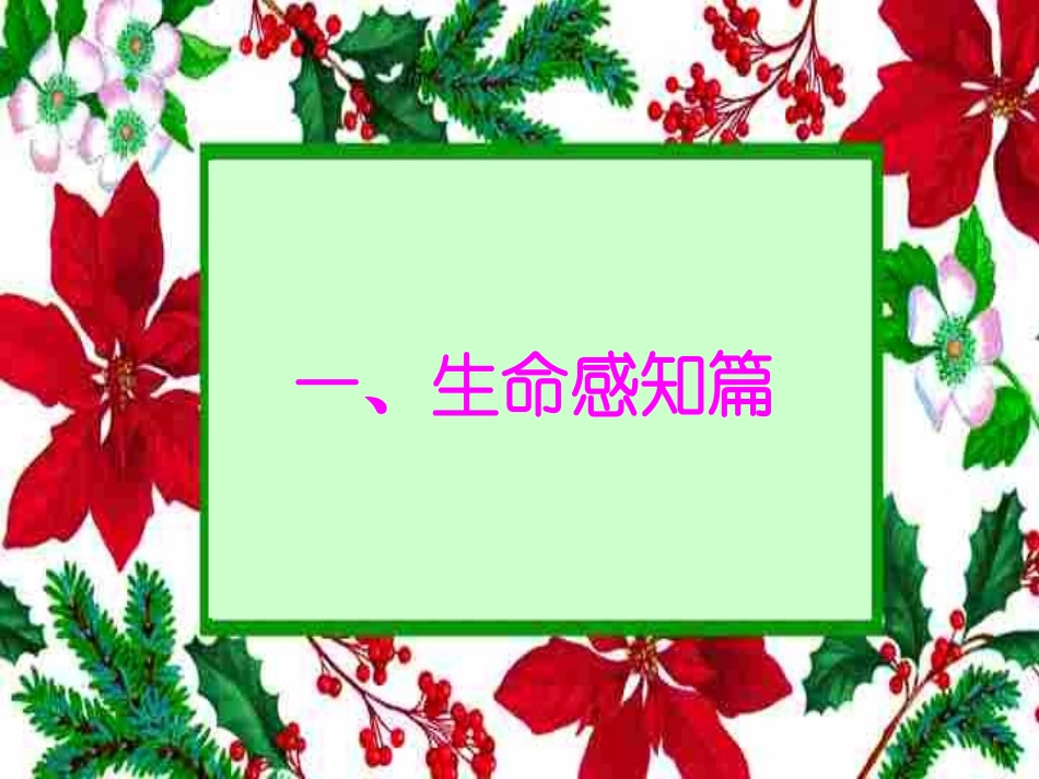 世界因生命而精彩课件_第2页