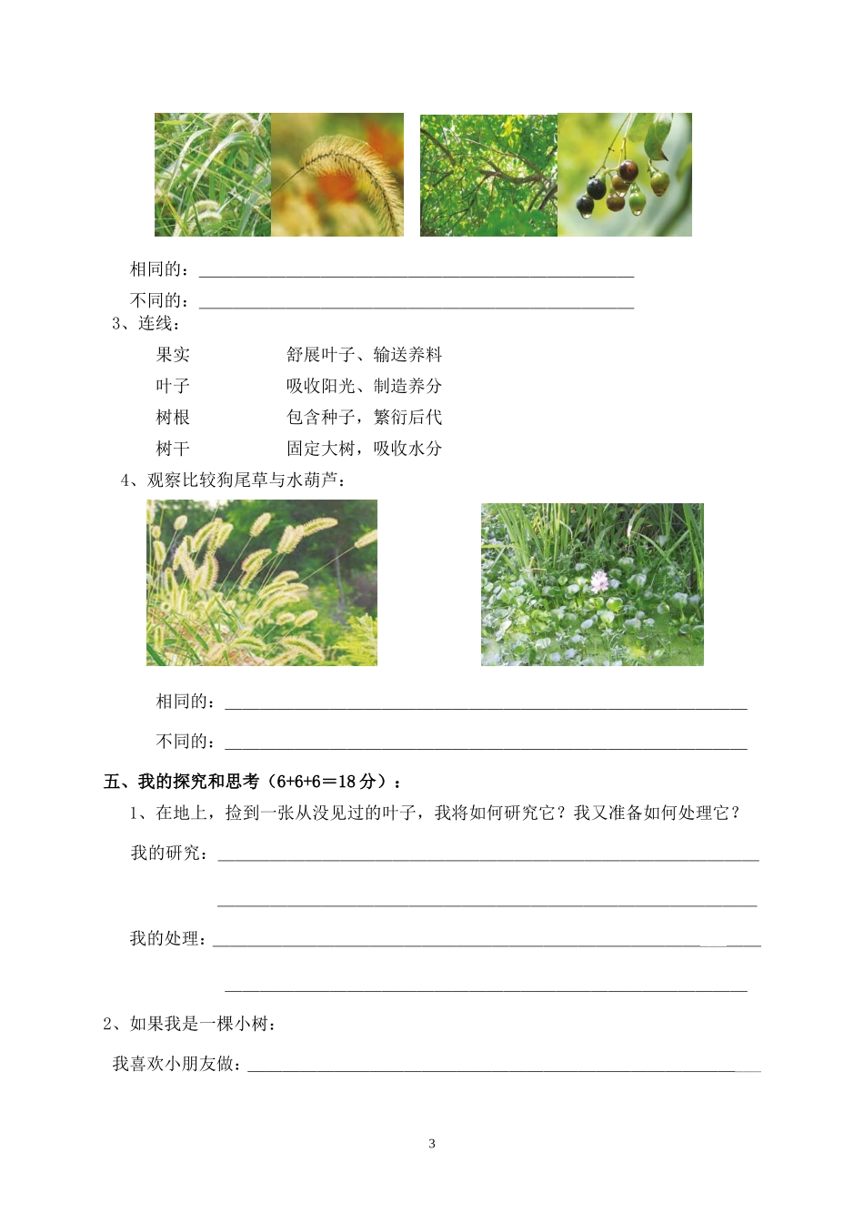 三上科学《植物》单元_第3页