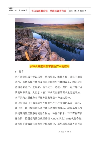 水环式真空泵在苯胺生产中的应用