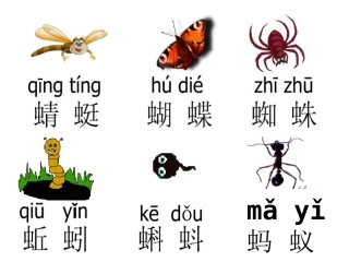 一年级语文下册-识字4-PPT课件