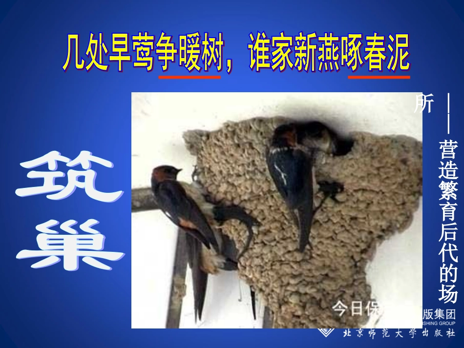 动物的生殖和发育（第三课时）_第2页