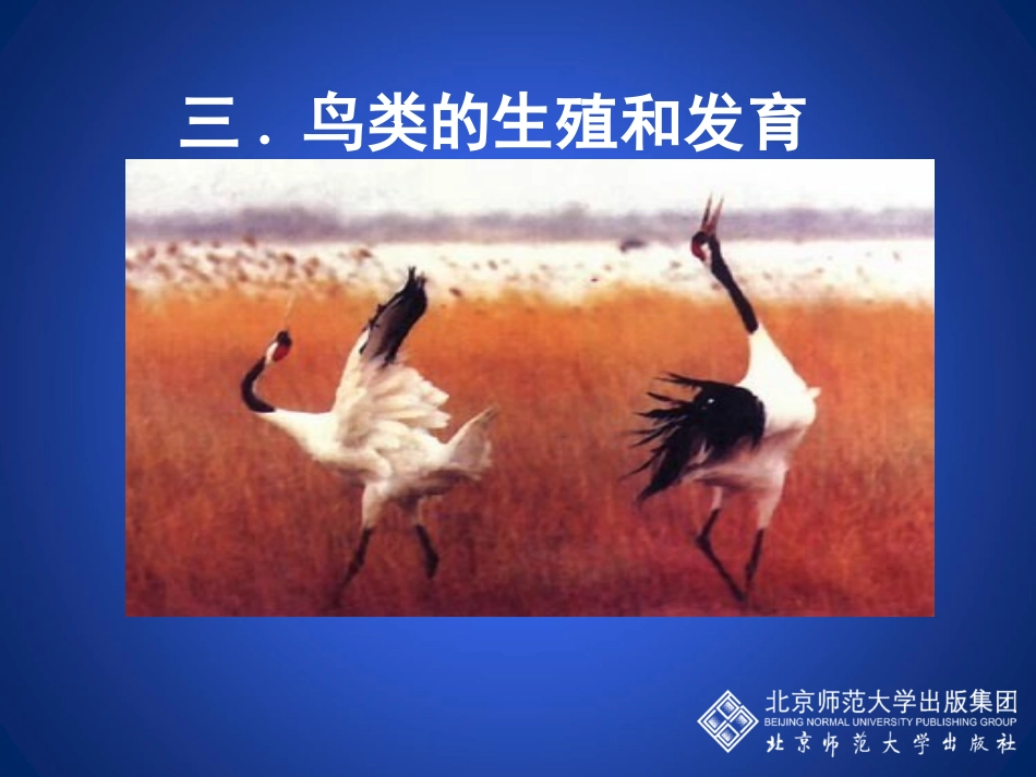 动物的生殖和发育（第三课时）_第3页