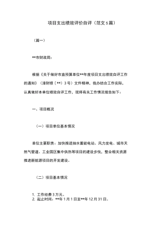 项目支出绩效评价自评