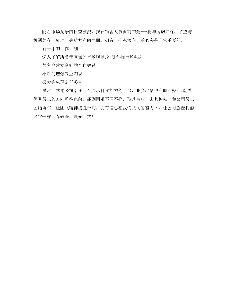 营销部年终个人工作总结范文_第2页