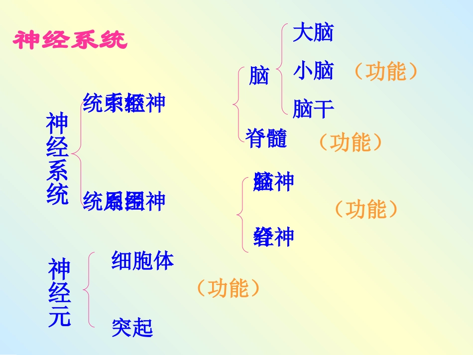 神经调节的基本方式_第1页