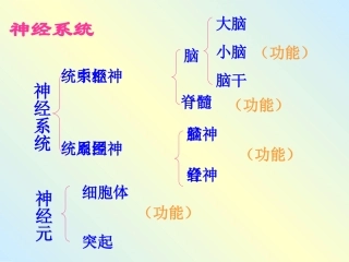 神经调节的基本方式