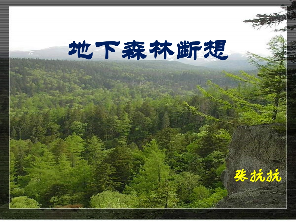 《地下森林断想》PPT_第1页
